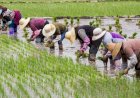 Parceria nas áreas de Agricultura e Pecuária