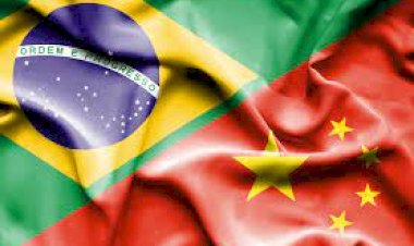 Os impactos da China no PIB do Brasil e as dúvidas sobre o agro para 2024